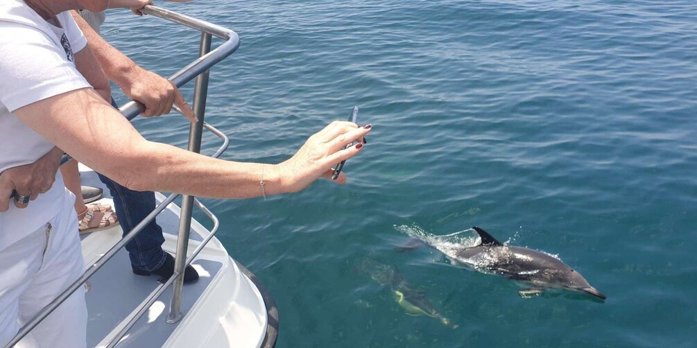 Picture 2 for Activity Lagos: 90-Minute Dolphin Watching by Catamaran