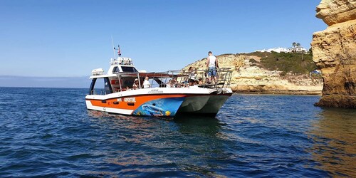 Lagos: Crucero en catamarán para avistar delfines