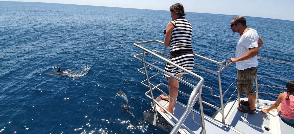 Picture 7 for Activity Lagos: 90-Minute Dolphin Watching by Catamaran