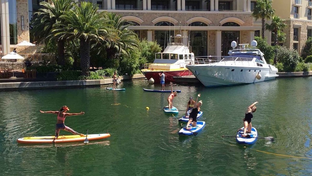 Cape Town: Stand-up Paddleboard Experience