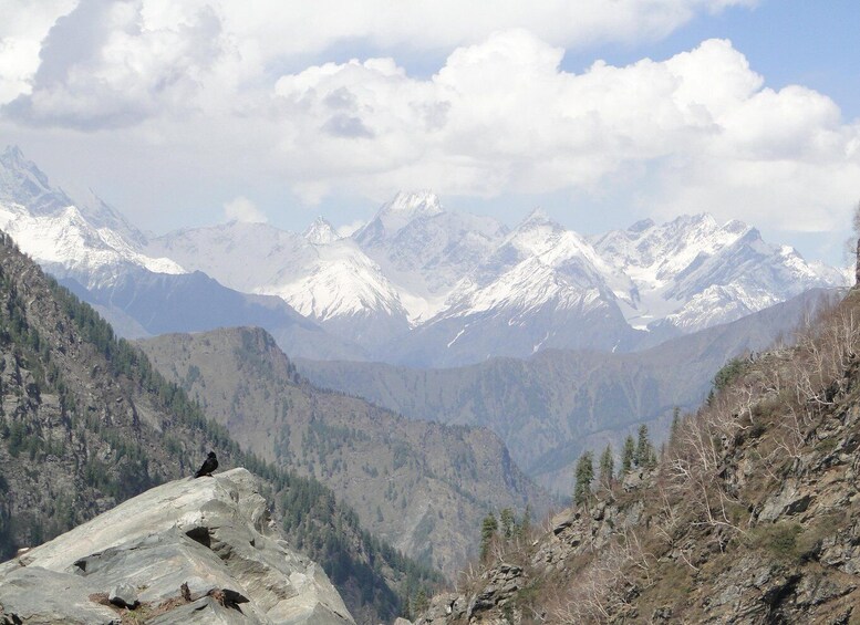 Picture 1 for Activity Guided Day Hike to Guna Devi Temple from Mcleodganj