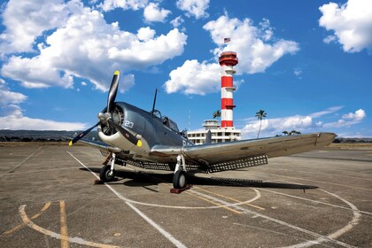 Visita de Disney al Museo de Aviación de Pearl Harbor: finaliza el 31 de di...