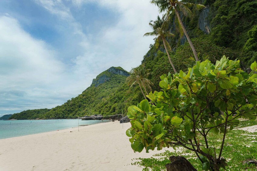 Picture 9 for Activity Ang Thong Full-Day Discovery Cruise from Koh Samui