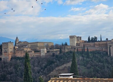 Desde Málaga: excursión de un día a Granada y los alrededores de la Alhambr...