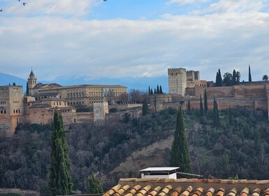 Fra Málaga: Dagstur til Granada og Alhambra-området