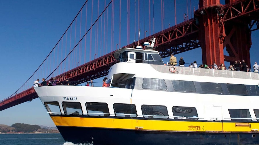 San Francisco: Skip-the-Line 1-Hour Bay Cruise by Boat