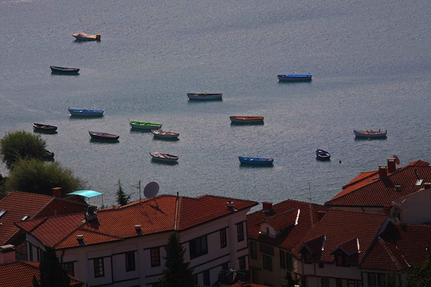 Picture 5 for Activity Full-Day Tour of Ohrid from Skopje