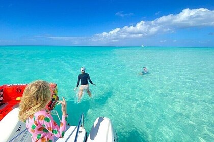 Half Day Snorkelling, Sightseeing & Island Hopping Private Charter