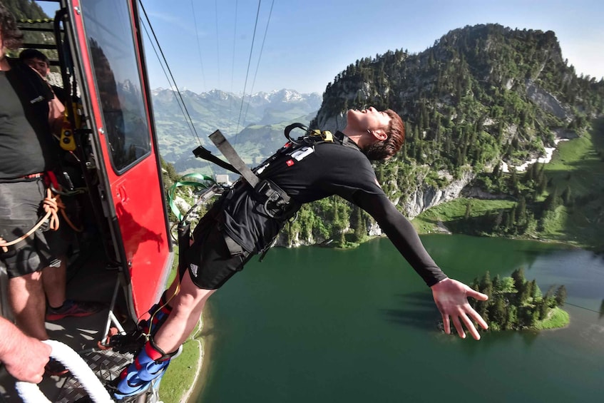 Picture 2 for Activity From Interlaken: Stockhorn Bungee Jump