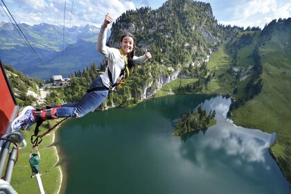 Depuis Interlaken : Saut à l'élastique au Stockhorn