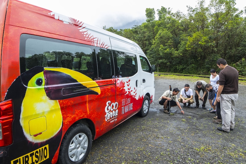 Tour guide and group on the Arenal Volcano National Park Walk 