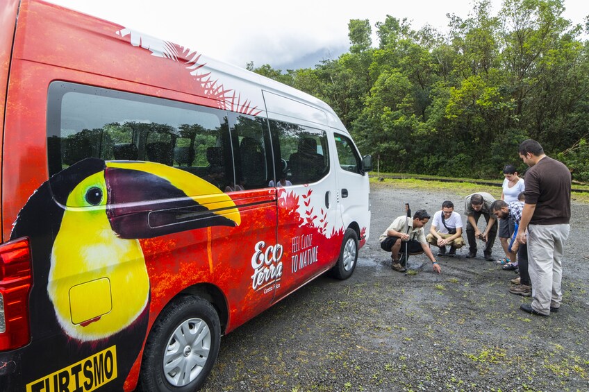 Tour guide and group on the Arenal Volcano National Park Walk