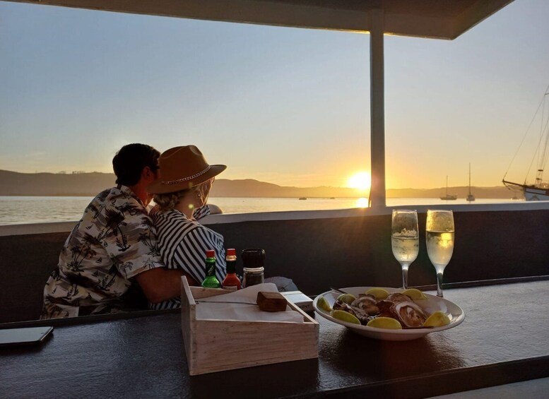 Knysna: Wine & Oyster Luxury Lounger Sunset Cruise