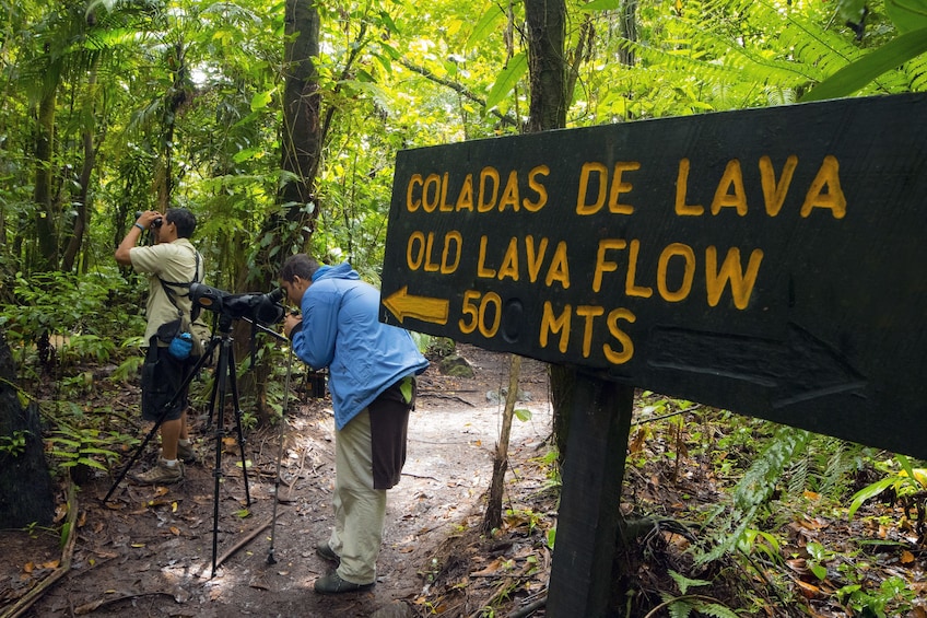 Old Lava Flow at Arenal National Park
