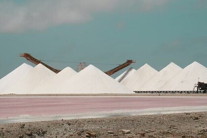 Small-Group Guided North & South Tour of Bonaire with Pick Up