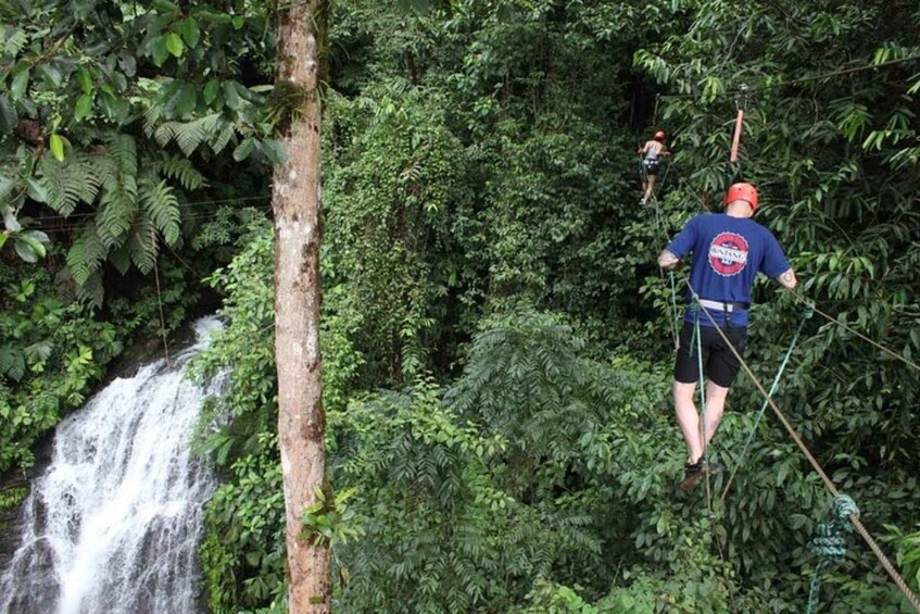 Picture 4 for Activity Quepos: Half-Day Rainforest Adventure