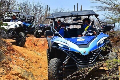 Tour de aventura en buggy de 2 horas en Curazao
