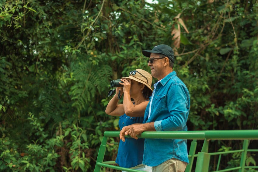 Arenal Volcano National Park and Arenal Lake Morning Tour