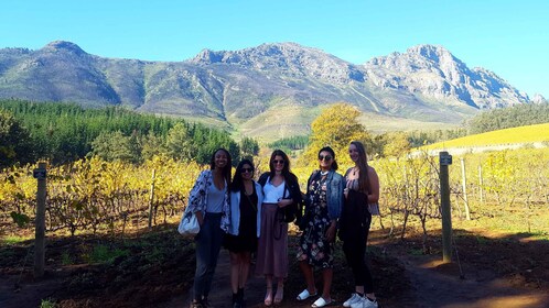 Stellenbosch: Oostelijke Route Hop-On Hop-Off Wijn Tour