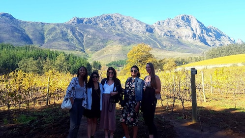 Stellenbosch: Oostelijke Route Hop-On Hop-Off Wijn Tour