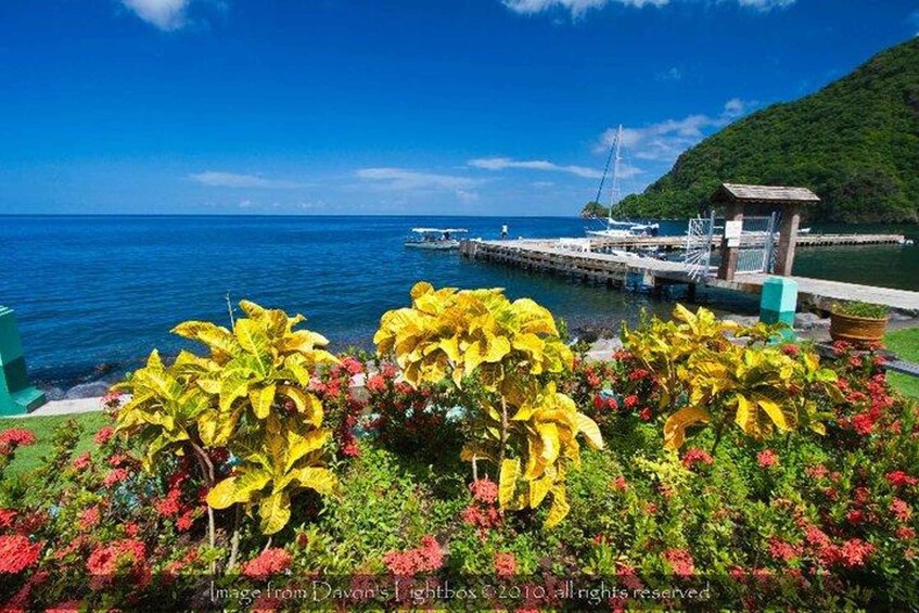 Picture 4 for Activity Soufriere Tour & Snorkeling Experience