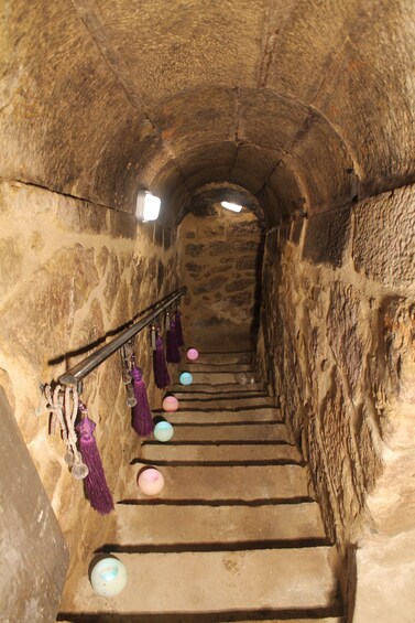 Picture 2 for Activity Rioja Alavesa: Wine Tasting in a Tradicional Winery