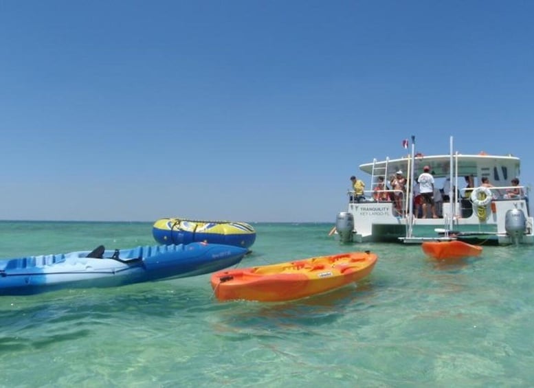 Miami: Tropical Sailing Island Adventure