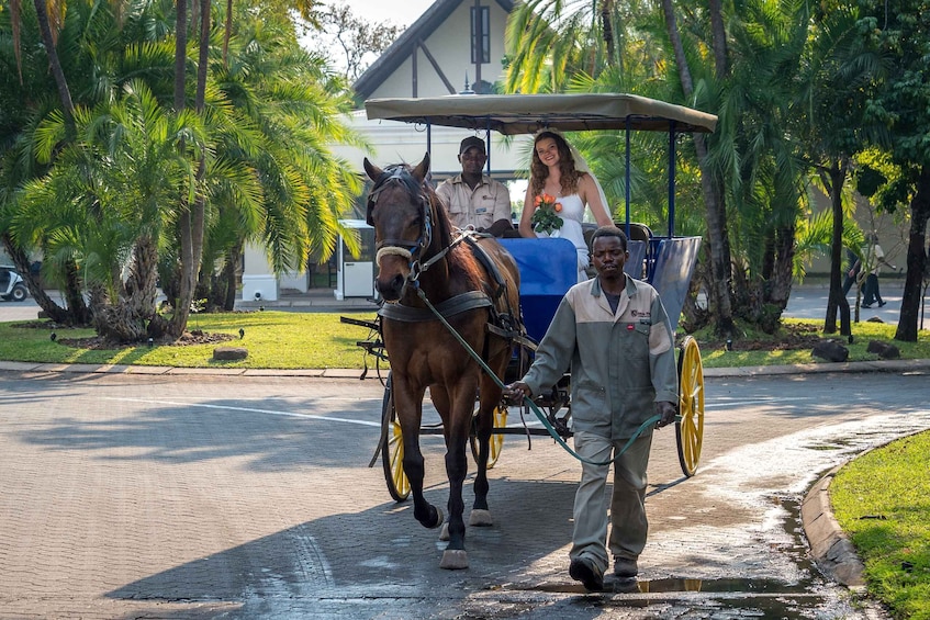 Picture 2 for Activity Victoria Falls National Park: Horseback Safari