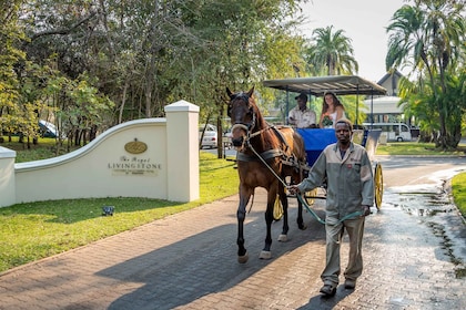 Parque Nacional de las Cataratas Victoria: Safari a caballo