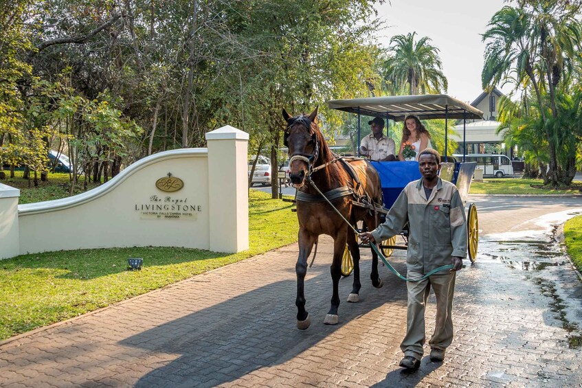 Victoria Falls National Park: Horseback Safari