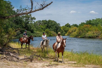 Parc national des chutes Victoria : safari à cheval