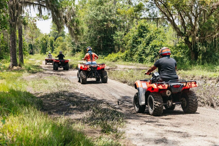 Picture 7 for Activity Clermont: Single-seat ATV Quad Bike Adventure