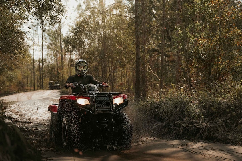 Picture 4 for Activity Clermont: Single-seat ATV Quad Bike Adventure