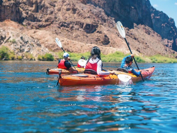 Half Day Guided Kayak Tour - No Shuttle Service