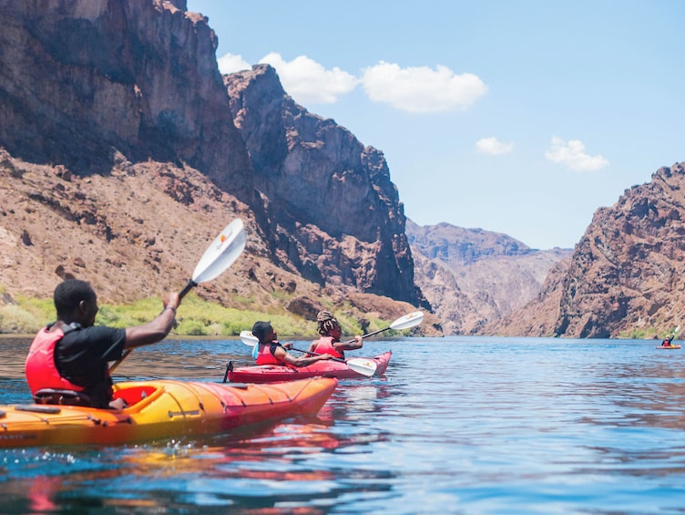 Half Day Guided Kayak Tour - No Shuttle Service