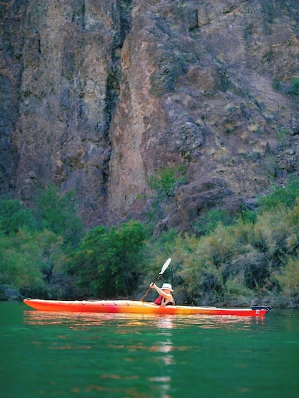 Half Day Guided Kayak Tour - No Shuttle Service