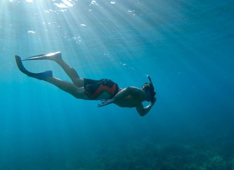 Picture 16 for Activity South Maui: PM Snorkel to Coral Gardens or Molokini Crater
