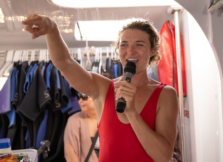 Picture 10 for Activity South Maui: PM Snorkel to Coral Gardens or Molokini Crater