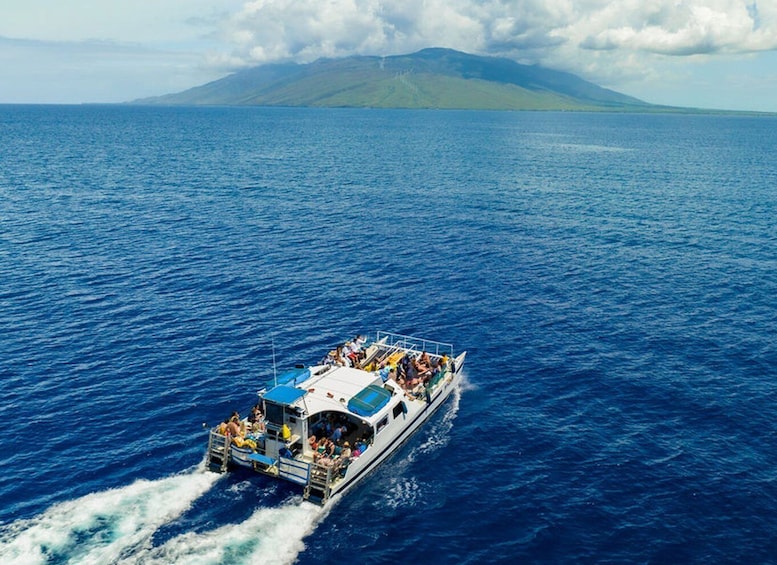 Picture 9 for Activity South Maui: PM Snorkel to Coral Gardens or Molokini Crater