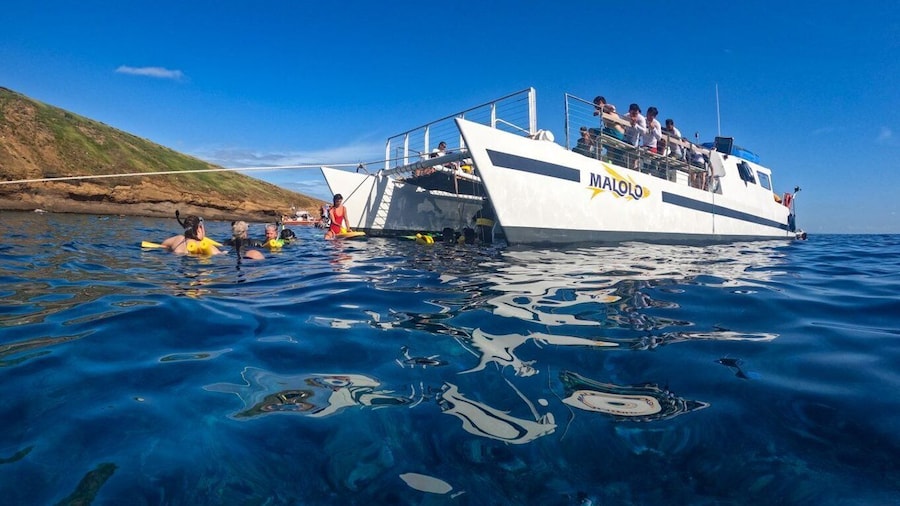 South Maui: PM Snorkel to Coral Gardens or Molokini Crater