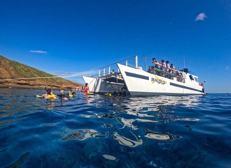 South Maui: PM Snorkel to Coral Gardens or Molokini Crater