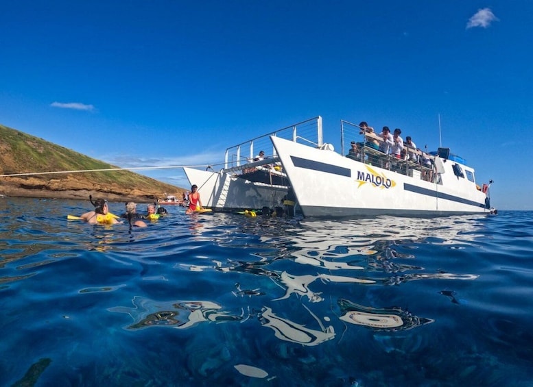 South Maui: PM Snorkel to Coral Gardens or Molokini Crater