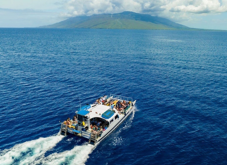 Picture 9 for Activity South Maui: PM Snorkel to Coral Gardens or Molokini Crater