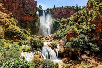 Marrakechista: Ouzoud-vesiputousten opastettu vaellus ja veneretki