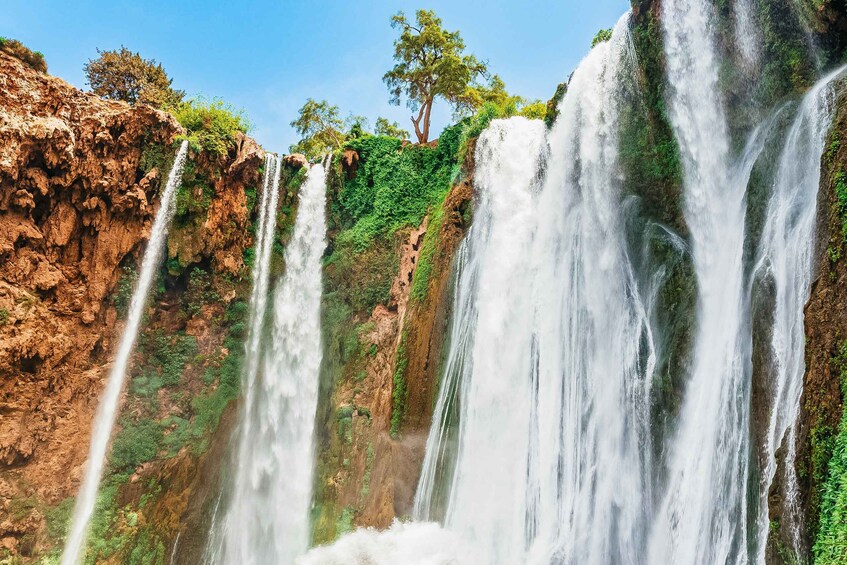 Picture 18 for Activity From Marrakech: Ouzoud Waterfalls Guided Hike and Boat Trip