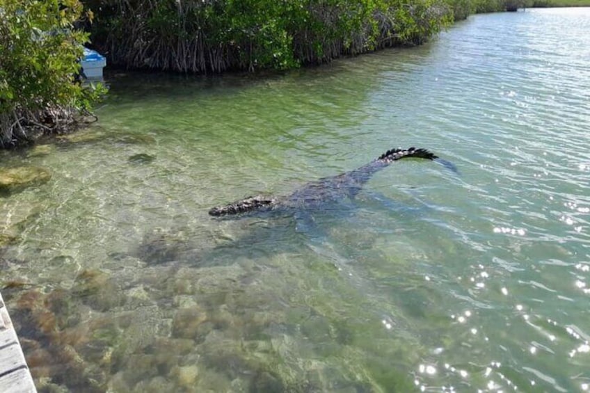 Sian Ka'an Boat Experience from Riviera Maya to Tulum