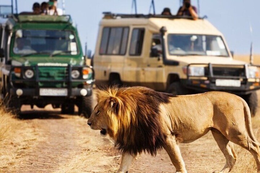 2-Days Solio Ranch Safari by 4x4 Land Cruiser Jeep