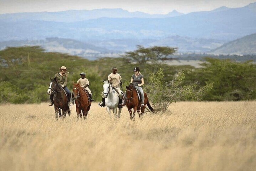  2-Days Solio Ranch Safari by 4x4 Land Cruiser Jeep 