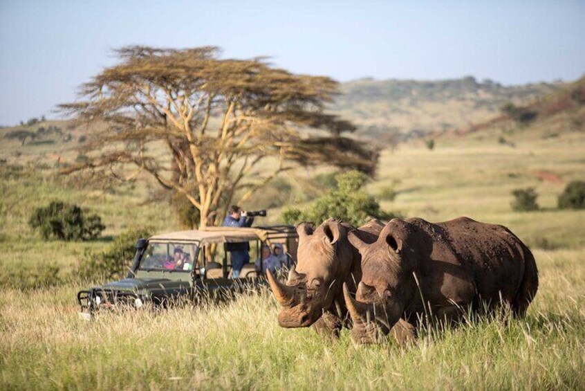  2-Days Solio Ranch Safari by 4x4 Land Cruiser Jeep 