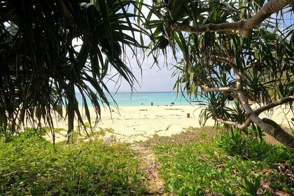 Okinawa's Gorgeous Beach & Snorkel Tour: Private & Customised